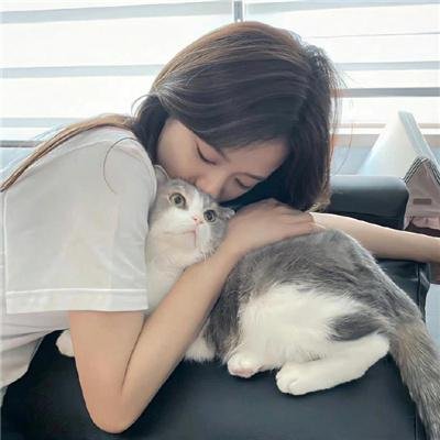 狐狸之声国语
