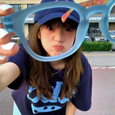 哈莱姆的郁金香